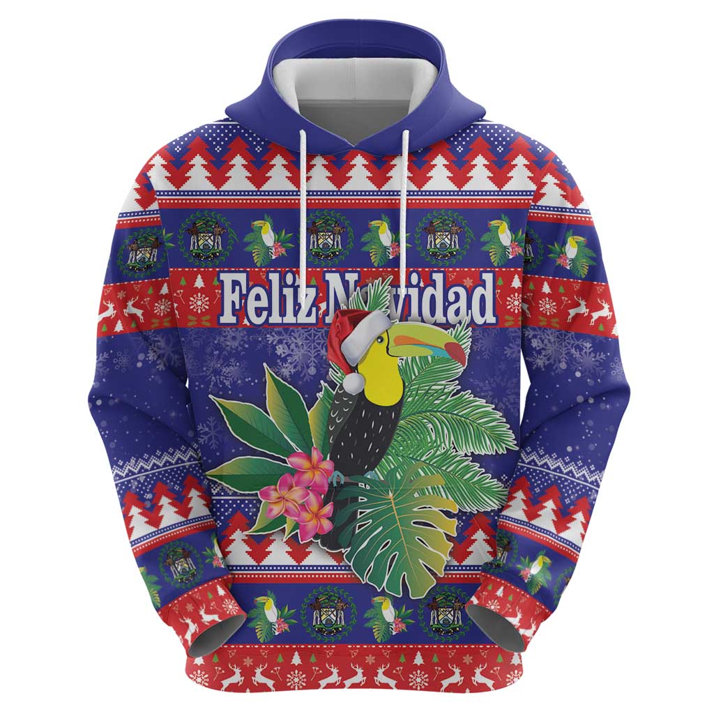 Belize Keel-billed Toucan Bird Christmas Hoodie Feliz Navidad With Knitted Christmas Pattern - Wonder Print Shop