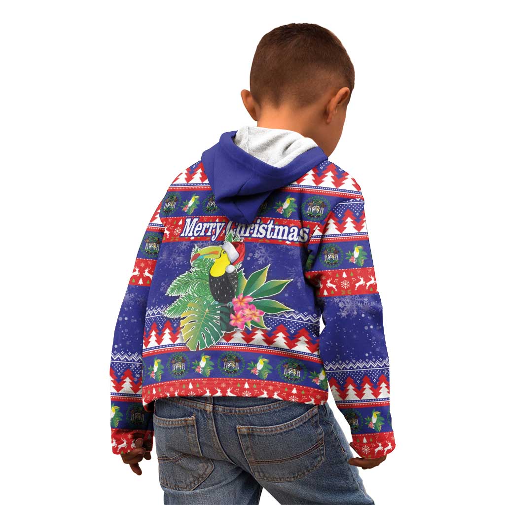 Belize Keel-billed Toucan Bird Christmas Kid Hoodie Feliz Navidad With Knitted Christmas Pattern - Wonder Print Shop