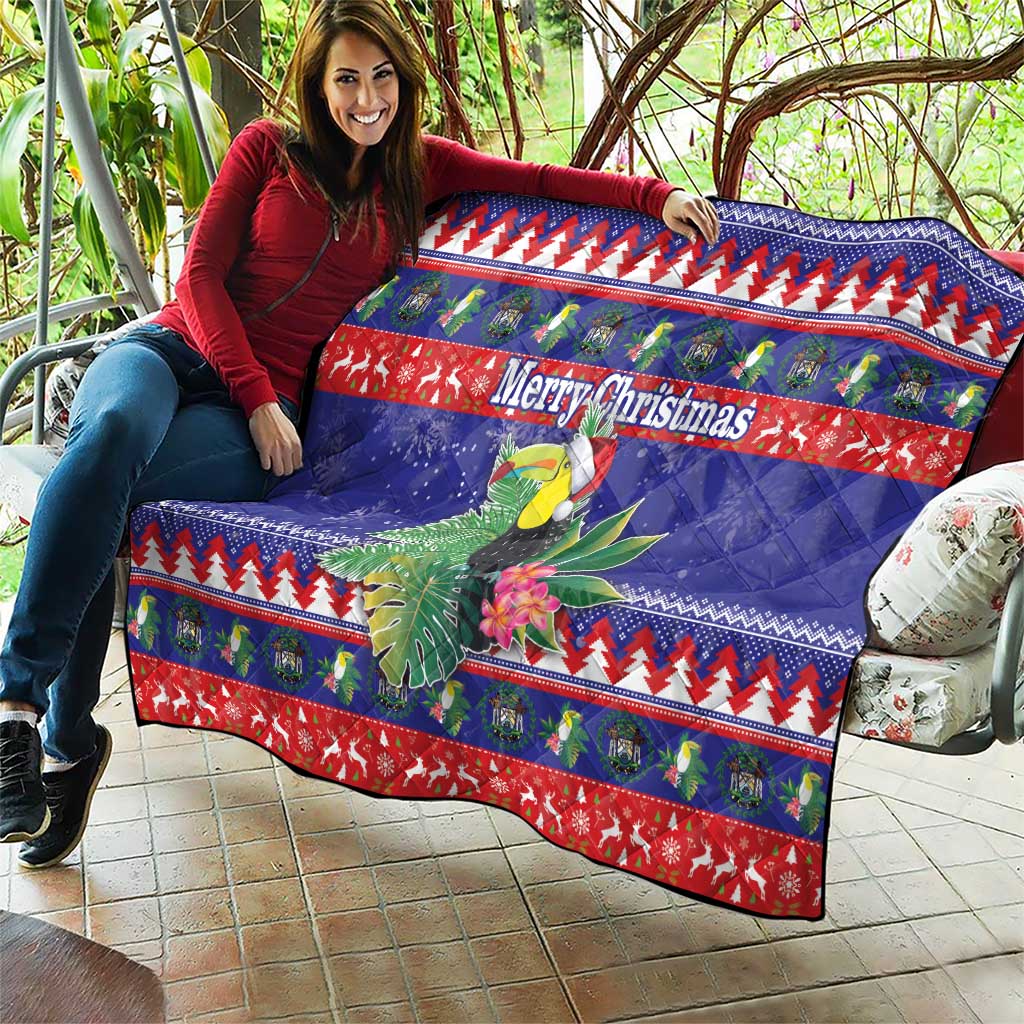 Belize Keel-billed Toucan Bird Christmas Quilt Feliz Navidad With Knitted Christmas Pattern - Wonder Print Shop