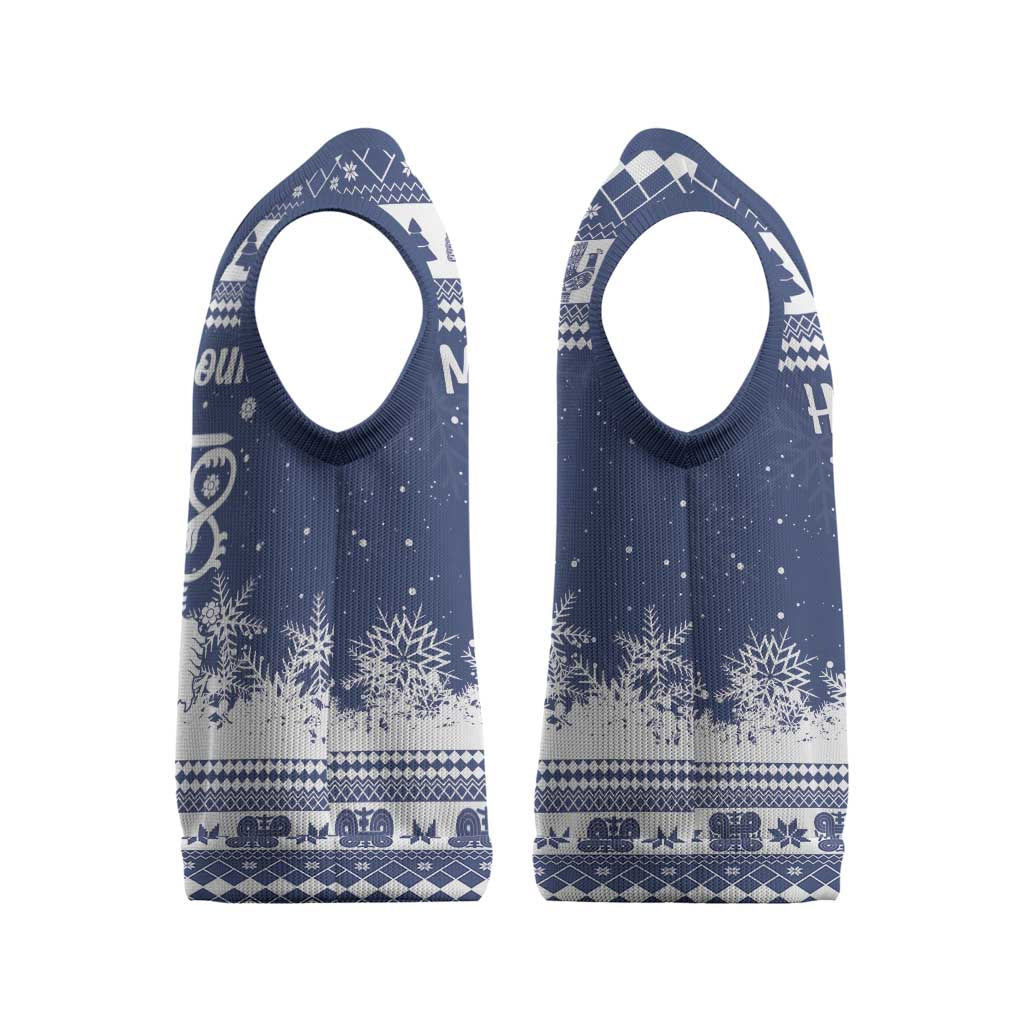 Finland Christmas Hannunvaakuna Christmas Knitted V-Neck Vest Hyvaa Joulua Nordic Snow Lion Blue Version - Wonder Print Shop