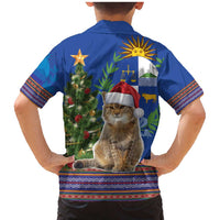 Uruguay Christmas Family Matching Mermaid Dress and Hawaiian Shirt Pampas Cat With Folk Pattern - Wonder Print Shop