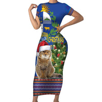 Uruguay Christmas Family Matching Short Sleeve Bodycon Dress and Hawaiian Shirt Pampas Cat With Folk Pattern - Wonder Print Shop