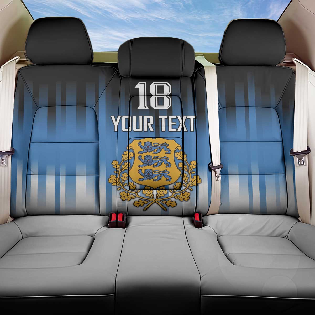 Custom Estonia Football Back Car Seat Cover Come On Kalevipojad
