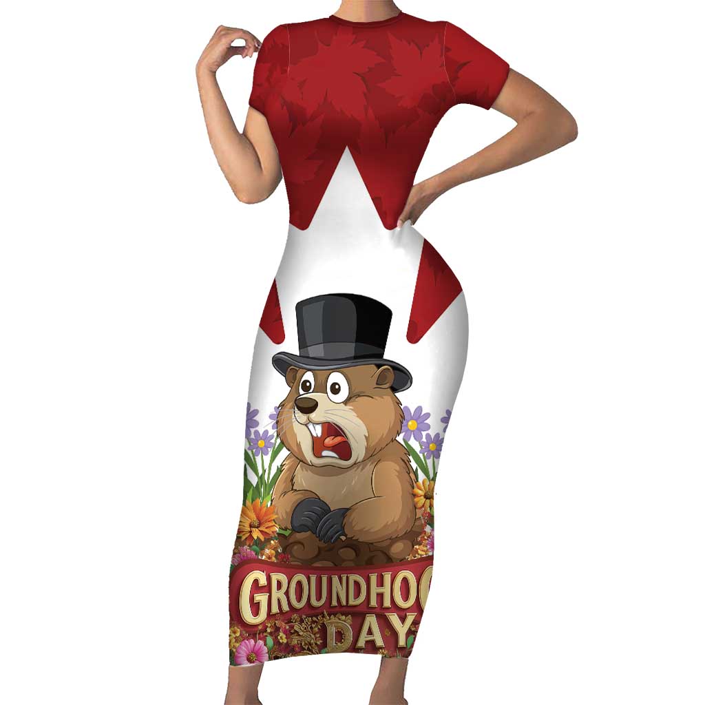 Funny Groundhog Day Family Matching Short Sleeve Bodycon Dress and Hawaiian Shirt Canadian Maple Leaf - Wonder Print Shop