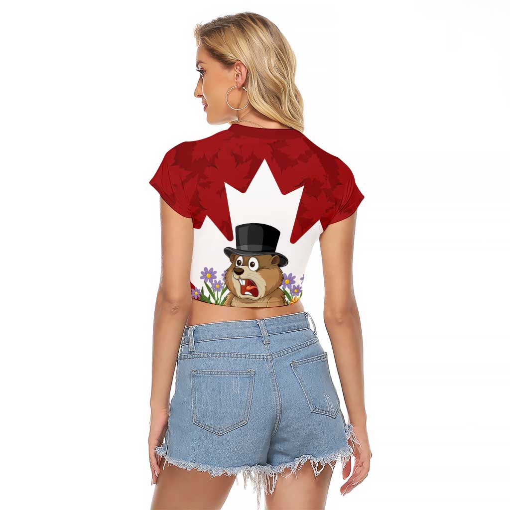 Funny Groundhog Day Raglan Cropped T Shirt Canadian Maple Leaf - Wonder Print Shop