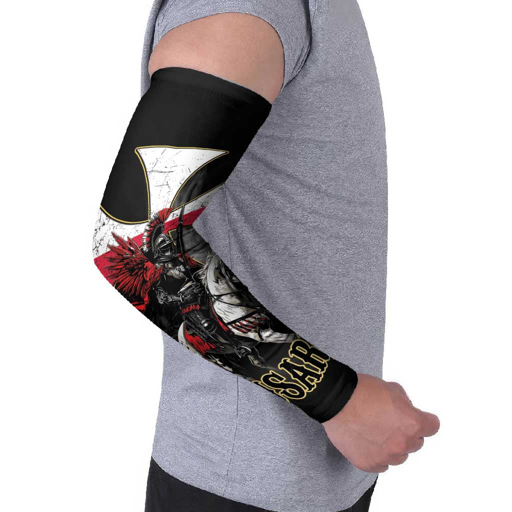 Polish Winged Hussars Arm Sleeves Husaria Poland Pride Knight Armor