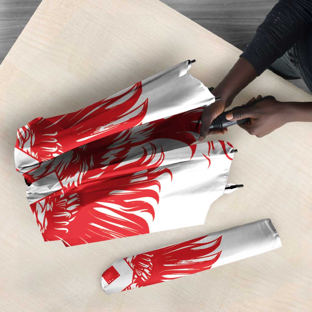 Custom Tunisia Football Umbrella Eagles of Carthage Spirit - Wonder Print Shop