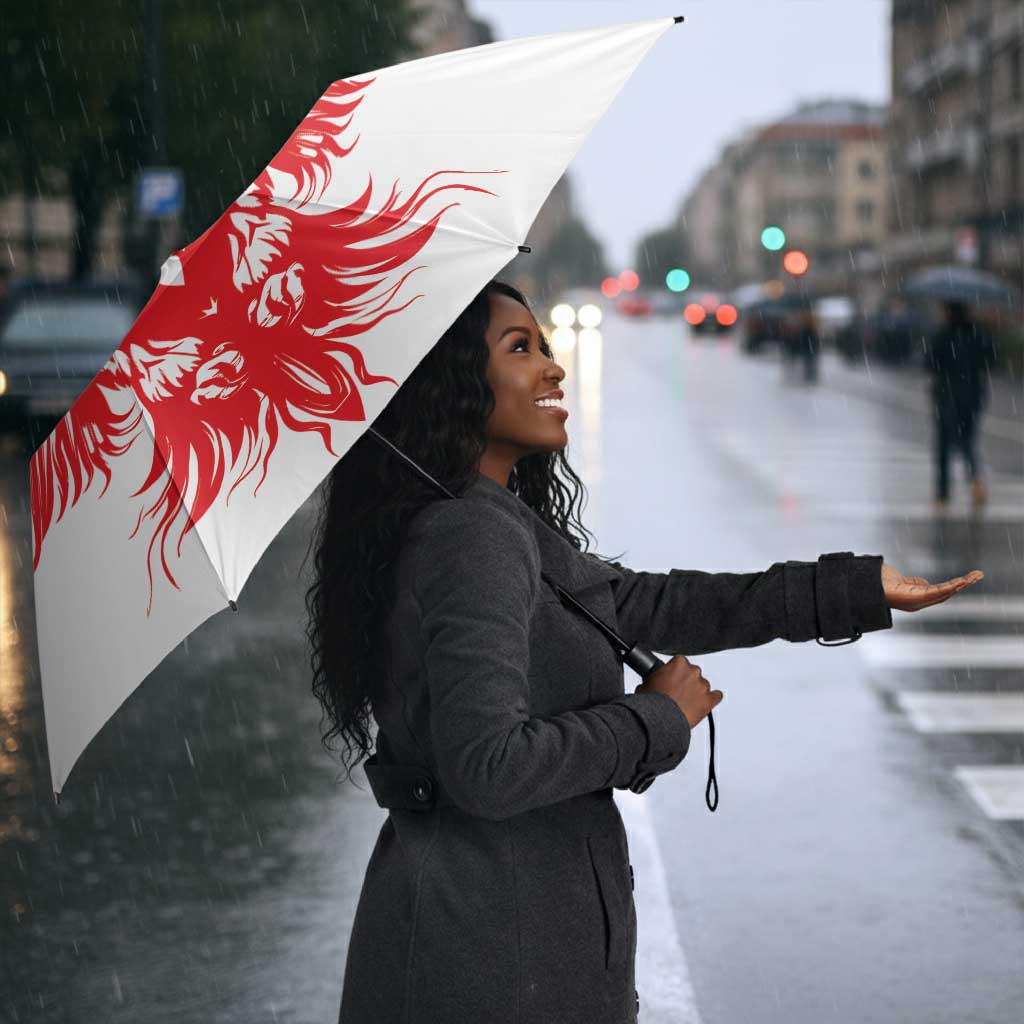 Custom Tunisia Football Umbrella Eagles of Carthage Spirit - Wonder Print Shop