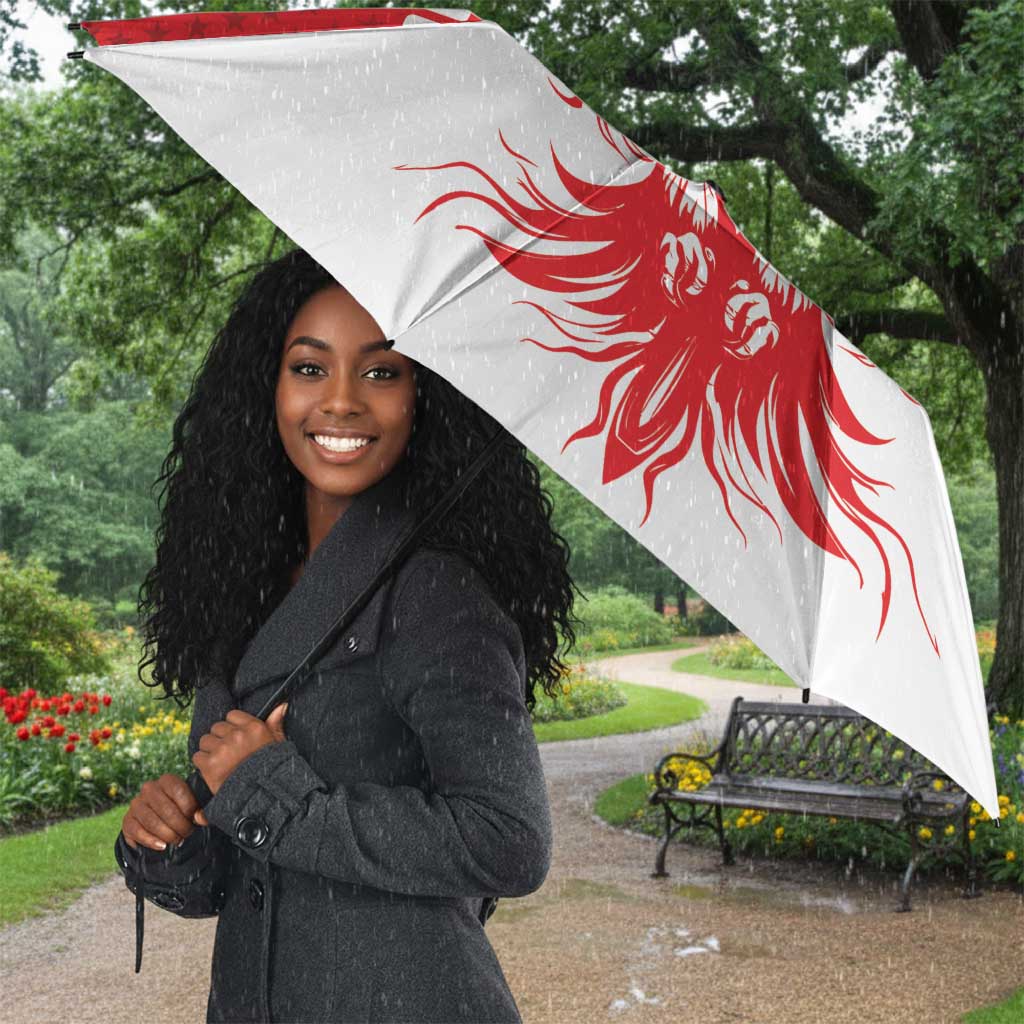 Custom Tunisia Football Umbrella Eagles of Carthage Spirit - Wonder Print Shop
