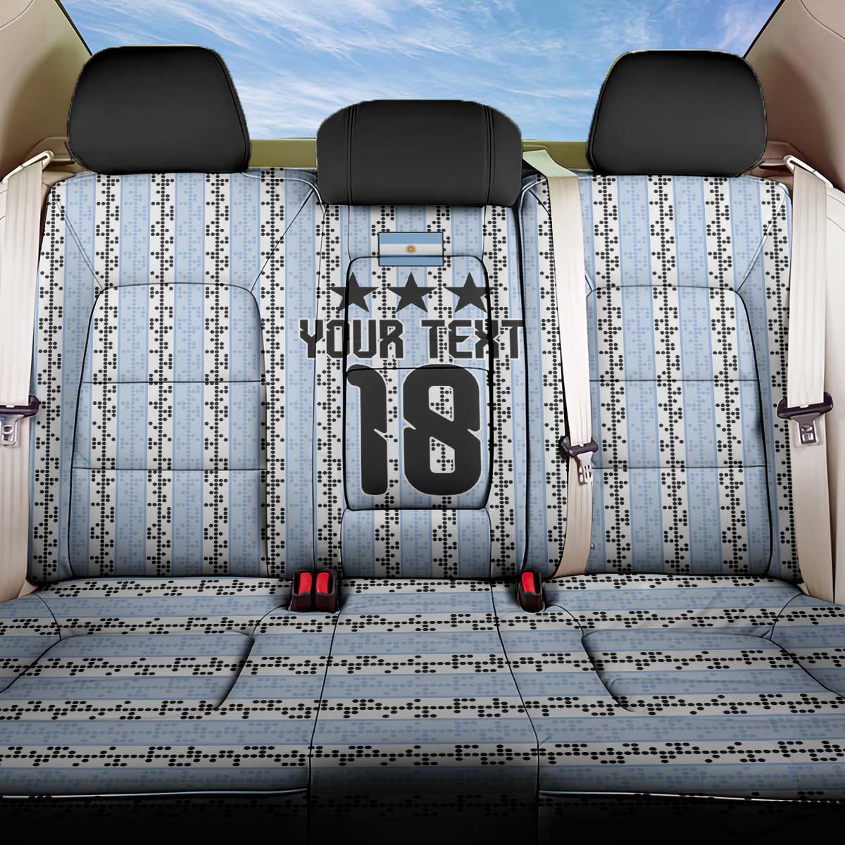 Custom Argentina Heritage Football Back Car Seat Cover La Albiceleste Glory Road to 2026