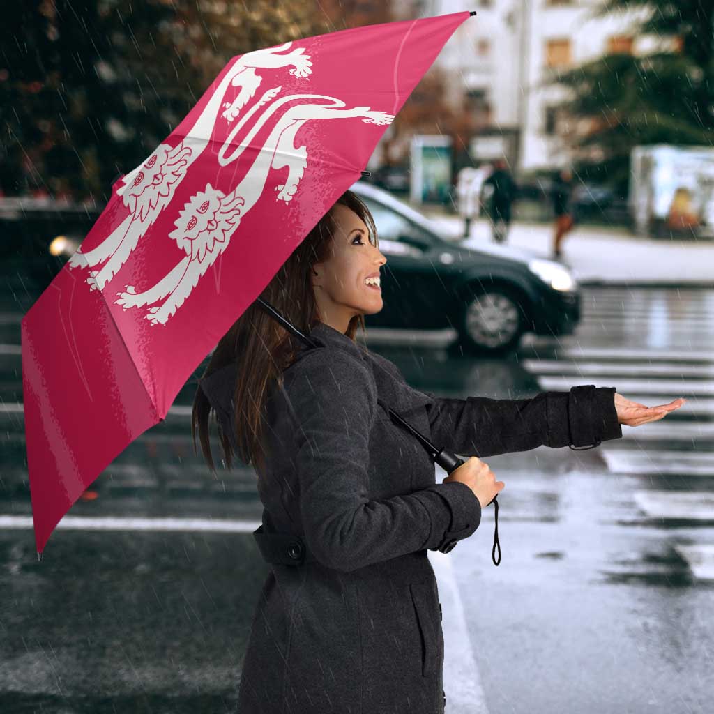 Custom Bailiwick of Jersey Cricket Umbrella Jer Lions Champion Pink Version - Wonder Print Shop