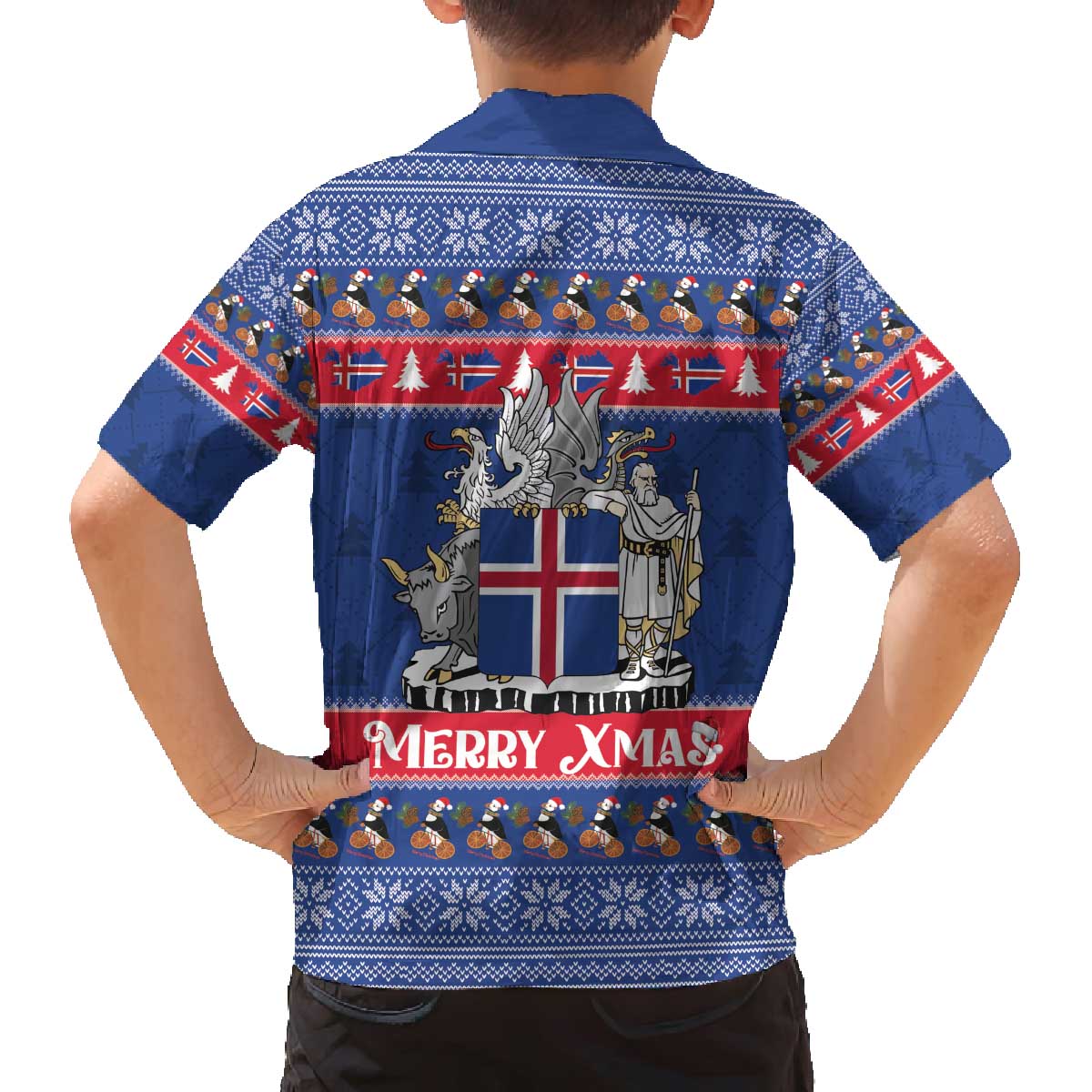 Iceland Christmas Family Matching Off The Shoulder Long Sleeve Dress and Hawaiian Shirt Coat Of Arms Christmas Pattern - Wonder Print Shop
