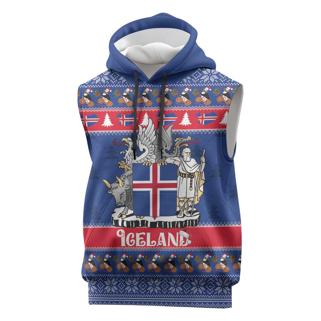 Iceland Christmas Sleeveless Hoodie Coat Of Arms Christmas Pattern - Wonder Print Shop