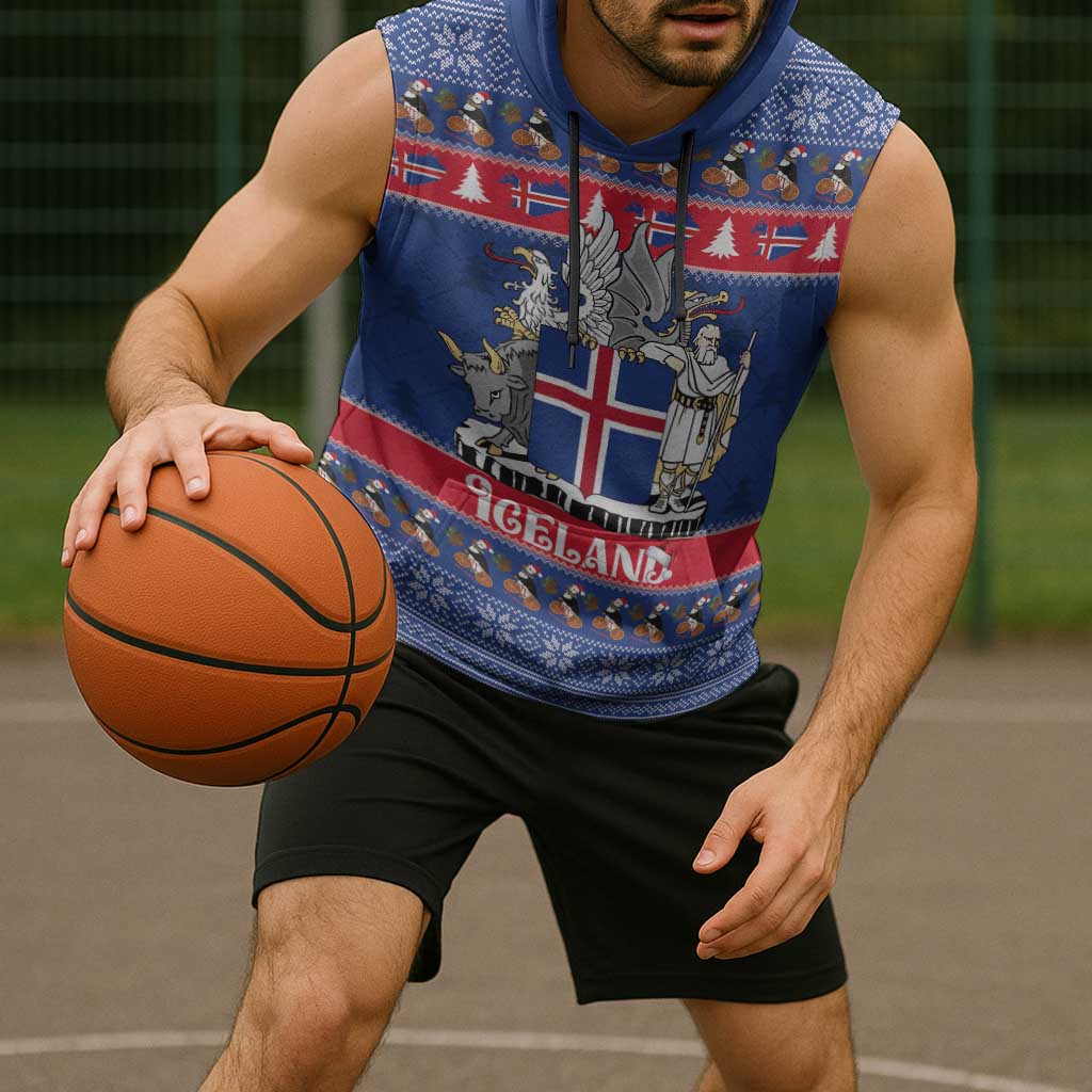 Iceland Christmas Sleeveless Hoodie Coat Of Arms Christmas Pattern - Wonder Print Shop