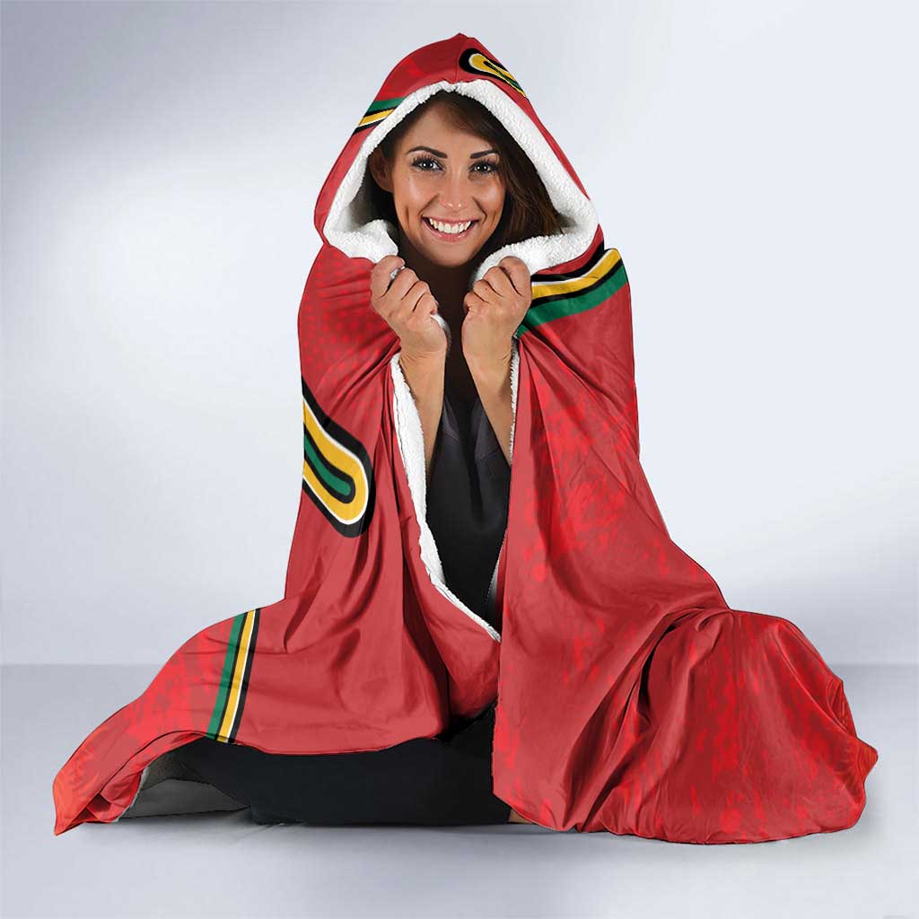 Personalized Lithuania Coat Of Arms Hooded Blanket Special Version