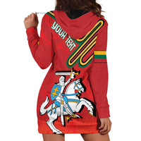 Personalized Lithuania Coat Of Arms Hoodie Dress Special Version - Wonder Print Shop