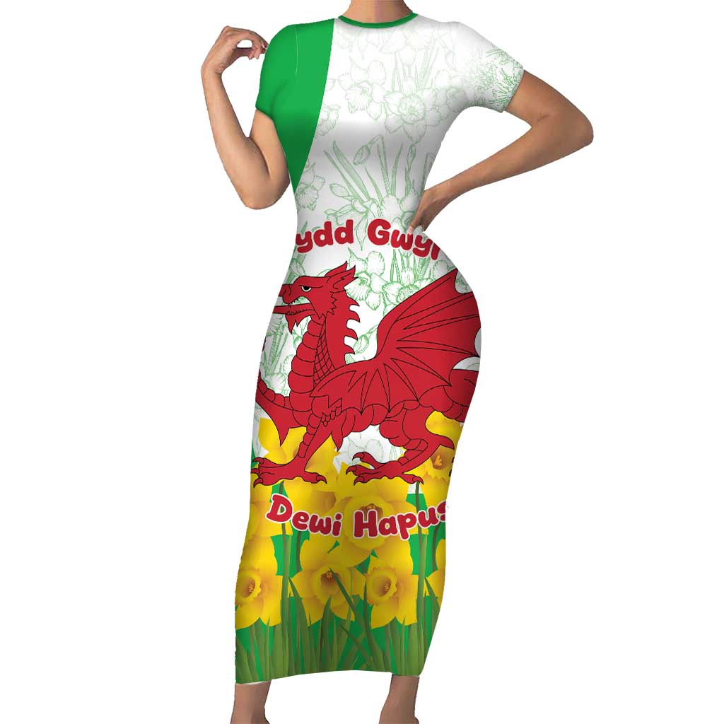 Saint David’s Day Welsh Dragon Family Matching Short Sleeve Bodycon Dress and Hawaiian Shirt Dydd Gwyl Dewi Hapus - Wonder Print Shop