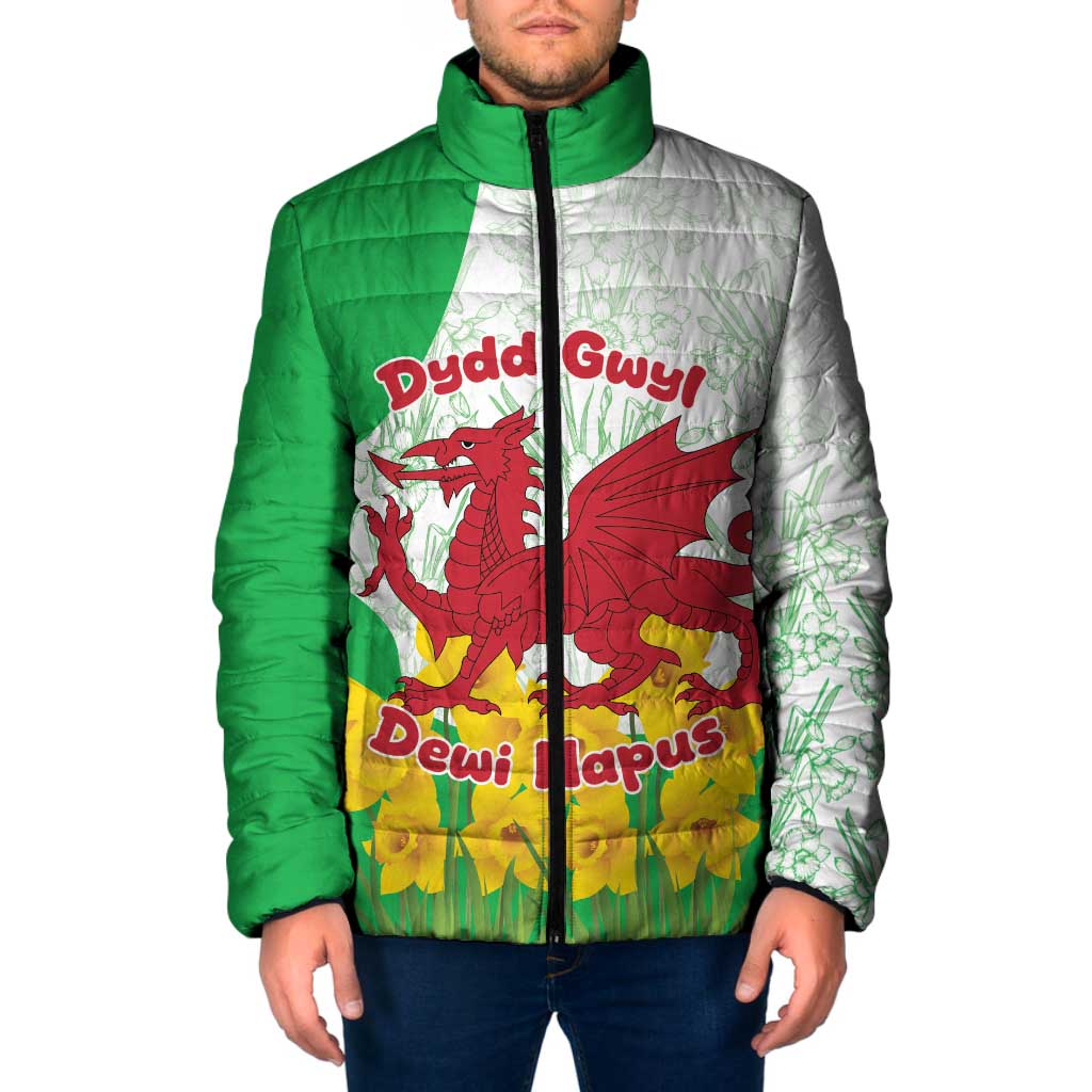 Saint David’s Day Welsh Dragon Padded Jacket Dydd Gwyl Dewi Hapus - Wonder Print Shop