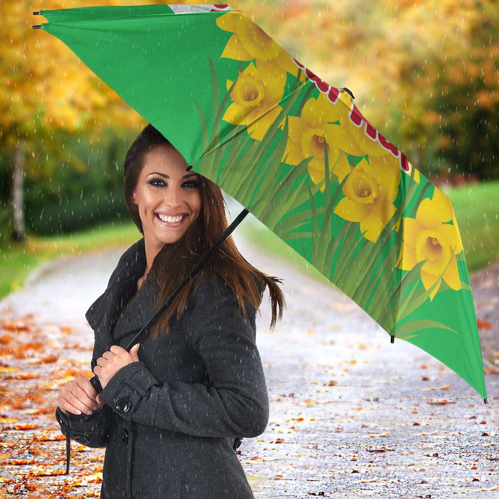 Saint David’s Day Welsh Dragon Umbrella Dydd Gwyl Dewi Hapus - Wonder Print Shop