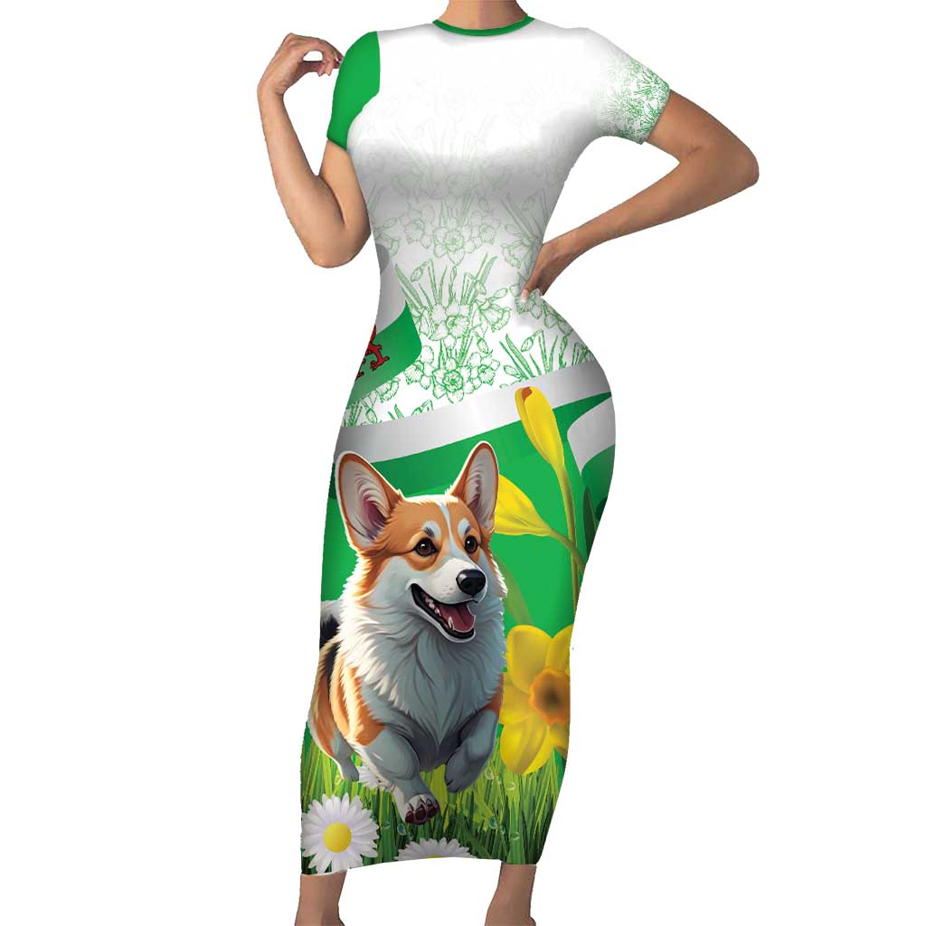 Wales Corgi Daffodil Family Matching Short Sleeve Bodycon Dress and Hawaiian Shirt Playful Welsh Dog - Wonder Print Shop