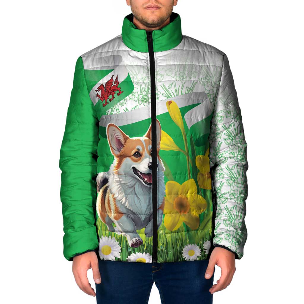 Wales Corgi Daffodil Padded Jacket Playful Welsh Dog - Wonder Print Shop