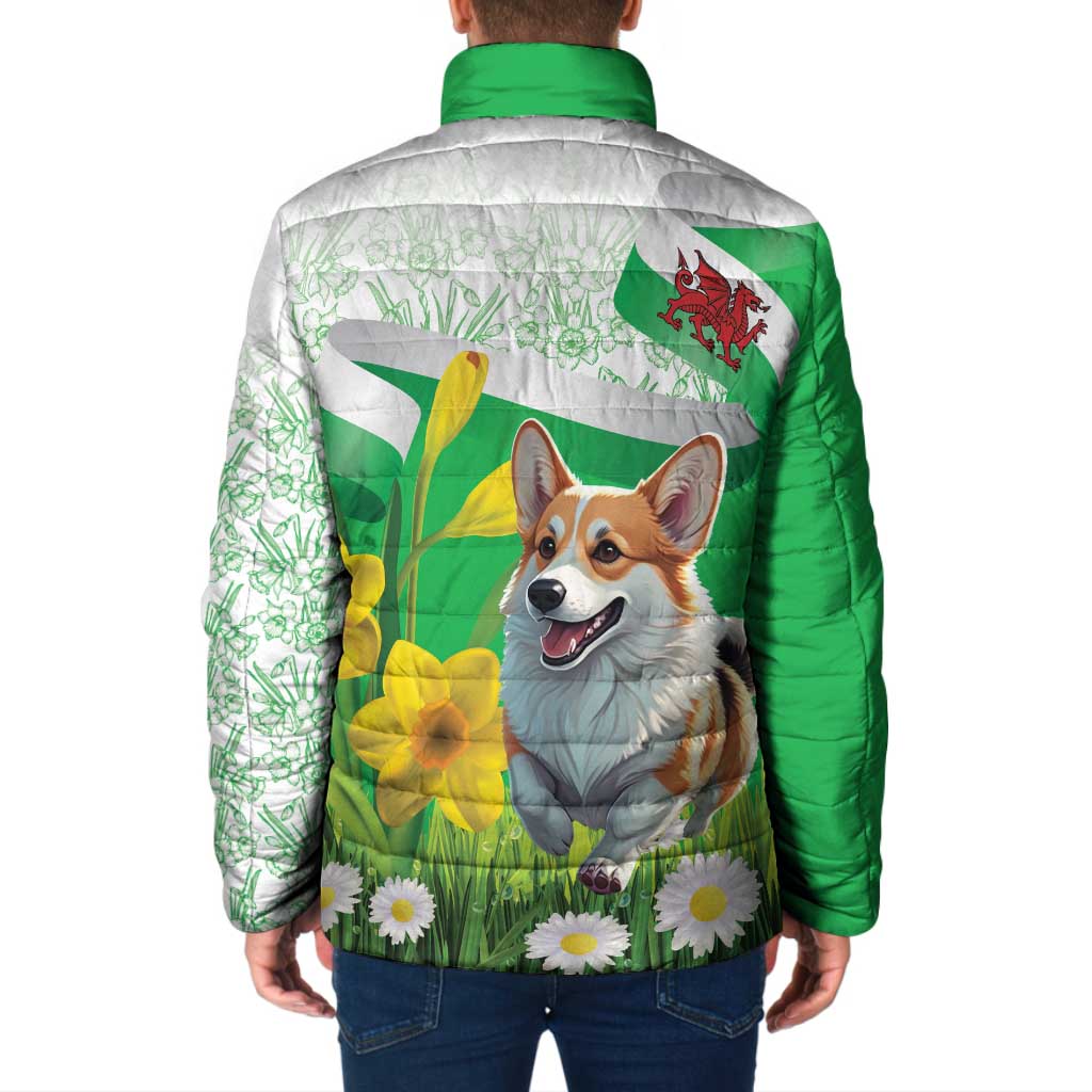 Wales Corgi Daffodil Padded Jacket Playful Welsh Dog - Wonder Print Shop