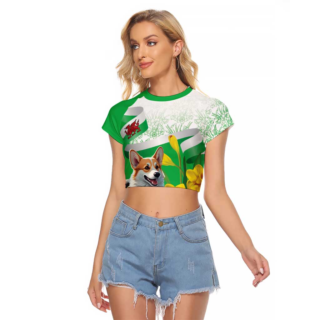 Wales Corgi Daffodil Raglan Cropped T Shirt Playful Welsh Dog - Wonder Print Shop