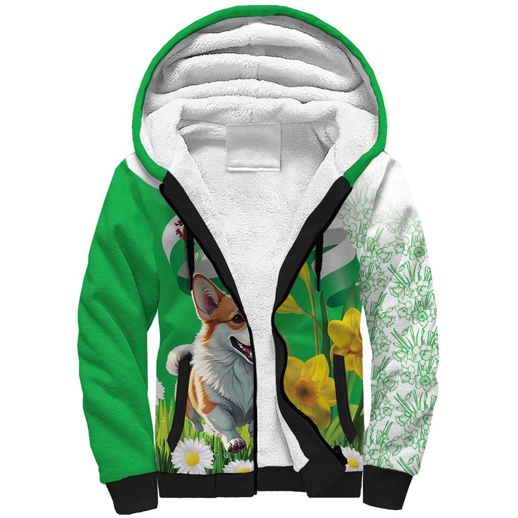Wales Corgi Daffodil Sherpa Hoodie Playful Welsh Dog - Wonder Print Shop