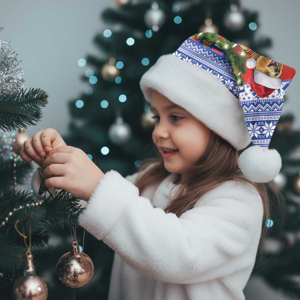 Russia Christmas Santa Hat Brown Bear Playing Balalaika - Wonder Print Shop