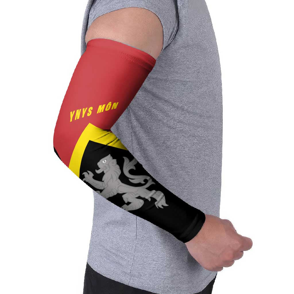 Personalised Anglesey Wales Arm Sleeves Ynys Mon Welsh Lion Flag Design - Wonder Print Shop