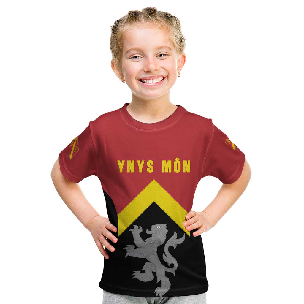 Personalised Anglesey Wales Kid T Shirt Ynys Mon Welsh Lion Flag Design - Wonder Print Shop