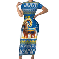 Sweden Christmas Family Matching Short Sleeve Bodycon Dress and Hawaiian Shirt Julbock Yule Goat LT19