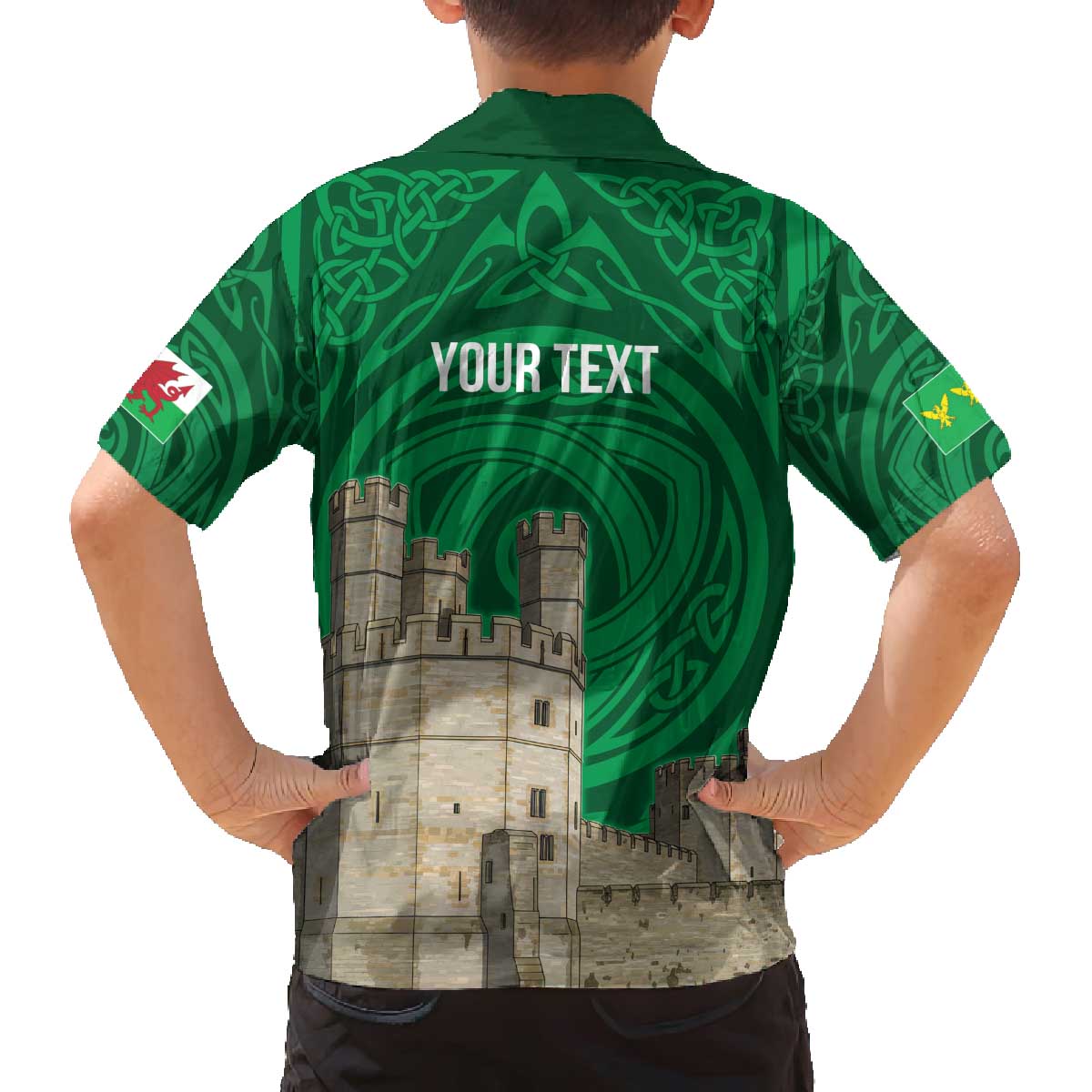 Personalized Caernarfonshire Wales Family Matching Off The Shoulder Long Sleeve Dress and Hawaiian Shirt Caernarfon Castle and Emblem Celtic Style - Wonder Print Shop