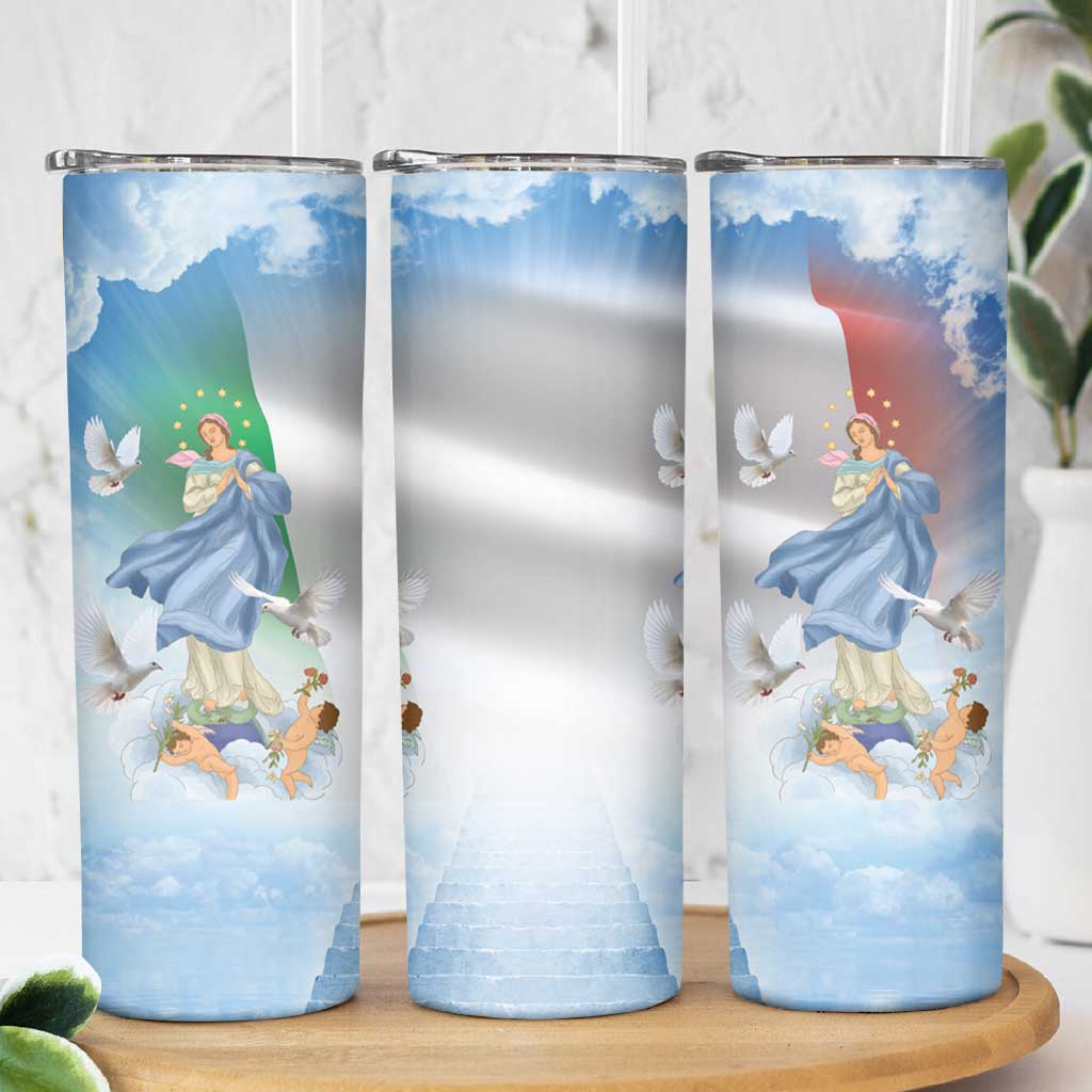 Italy Assumption Of Mary Skinny Tumbler Blessed Virgin Mary Angel And Dove - Wonder Print Shop