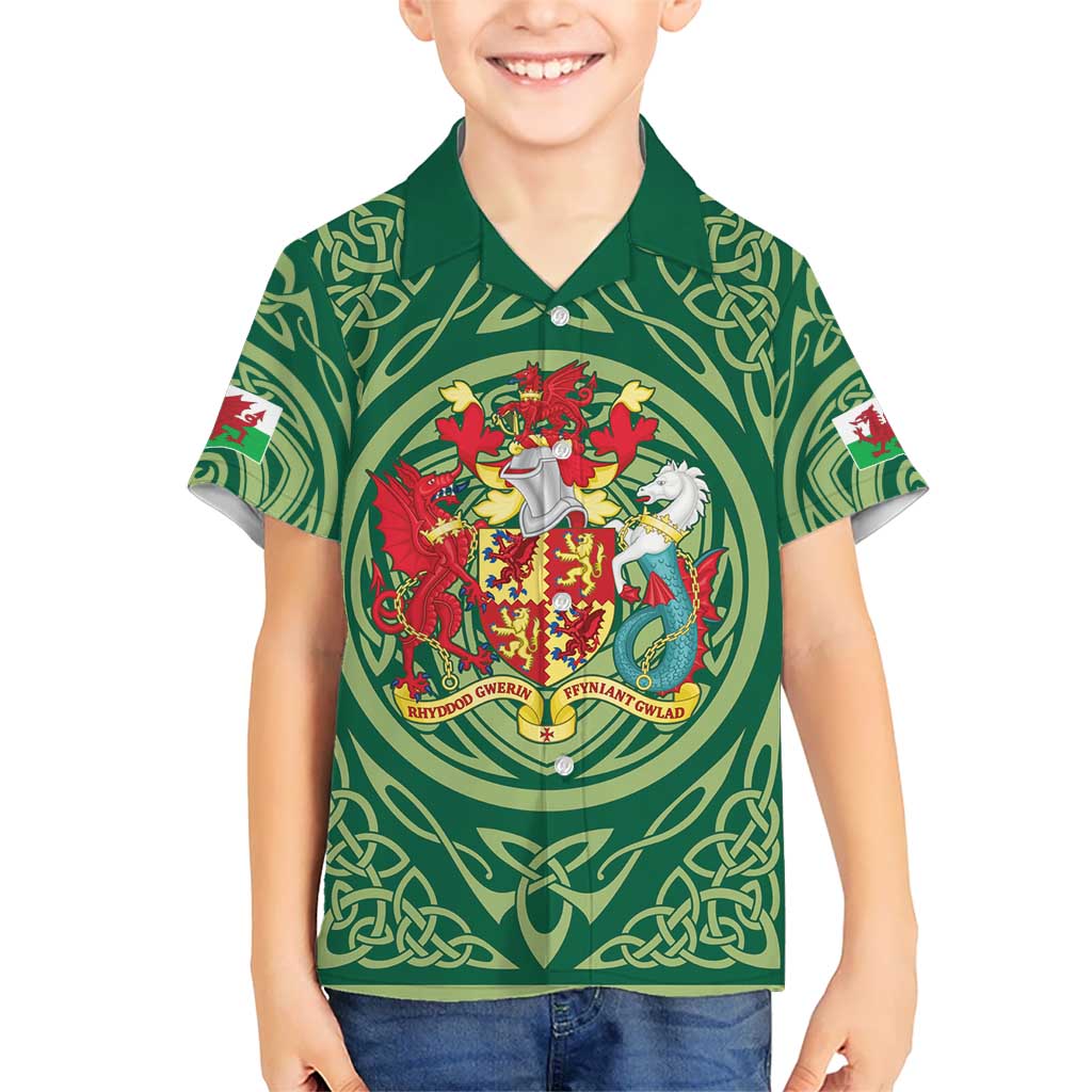 Personalized Carmarthenshire Wales Kid Hawaiian Shirt Map and Emblem Celtic Style - Wonder Print Shop