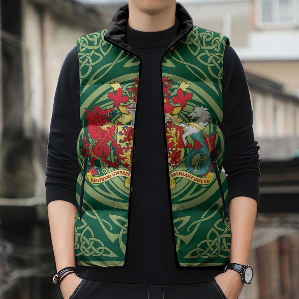 Personalized Carmarthenshire Wales Sleeveless Puffer Jacket Map and Emblem Celtic Style - Wonder Print Shop