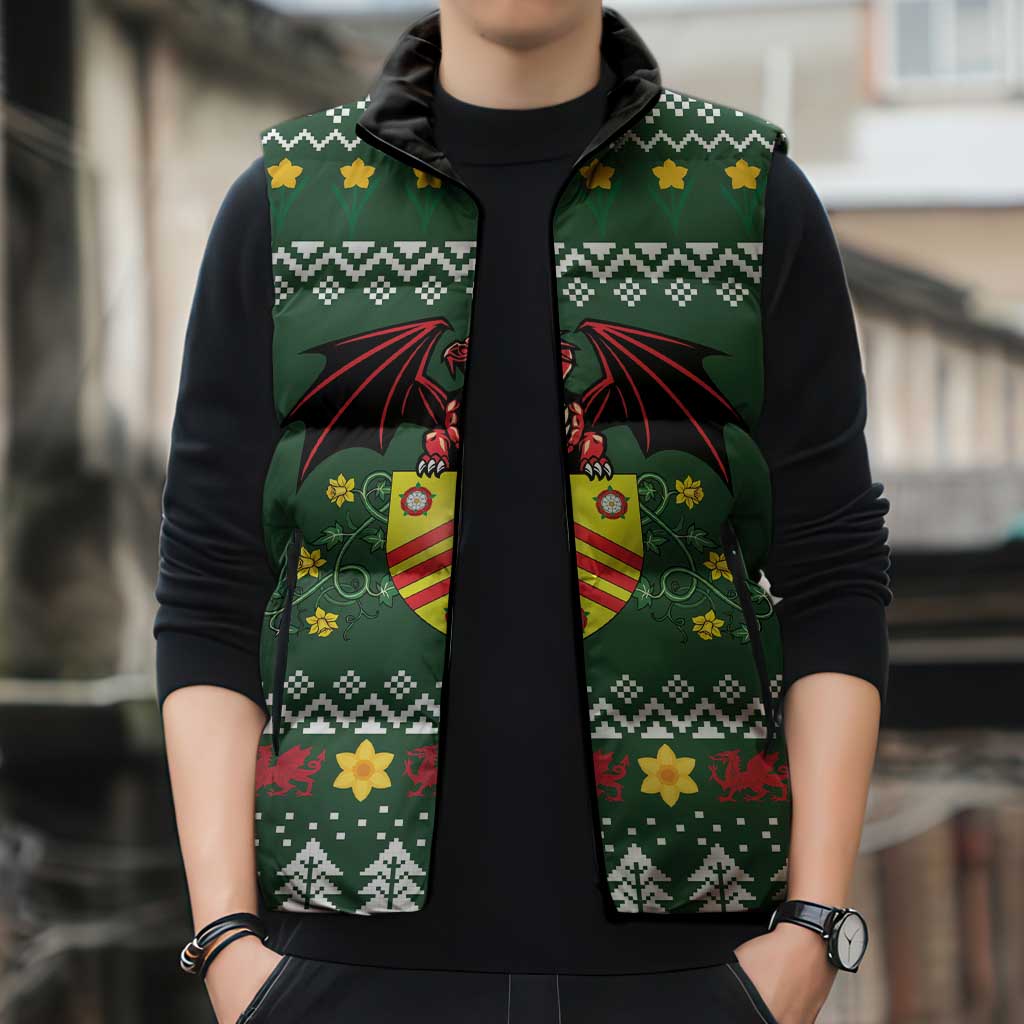 Glamorgan Wales Christmas Sleeveless Puffer Jacket Cymru Dragon And Daffodil - Wonder Print Shop