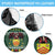 Glamorgan Wales Christmas Spare Tire Cover Cymru Dragon And Daffodil - Wonder Print Shop