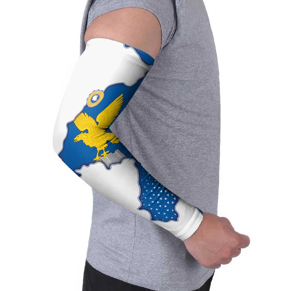 Italy Friuli-Venezia Giulia Arm Sleeves Flag Vintage Style - Wonder Print Shop