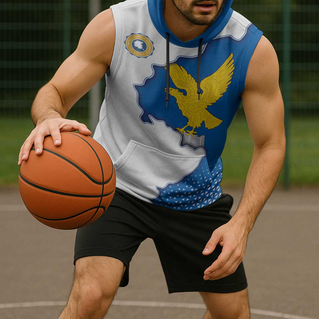 Italy Friuli-Venezia Giulia Sleeveless Hoodie Flag Vintage Style LT19