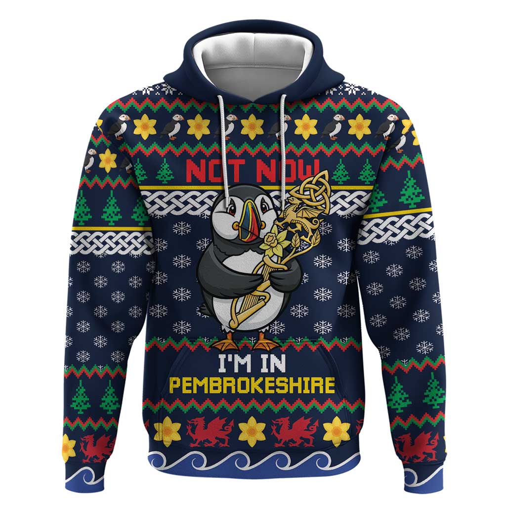 Personalized Pembrokeshire Wales Christmas Hoodie The Lovespoon Puffin - Wonder Print Shop