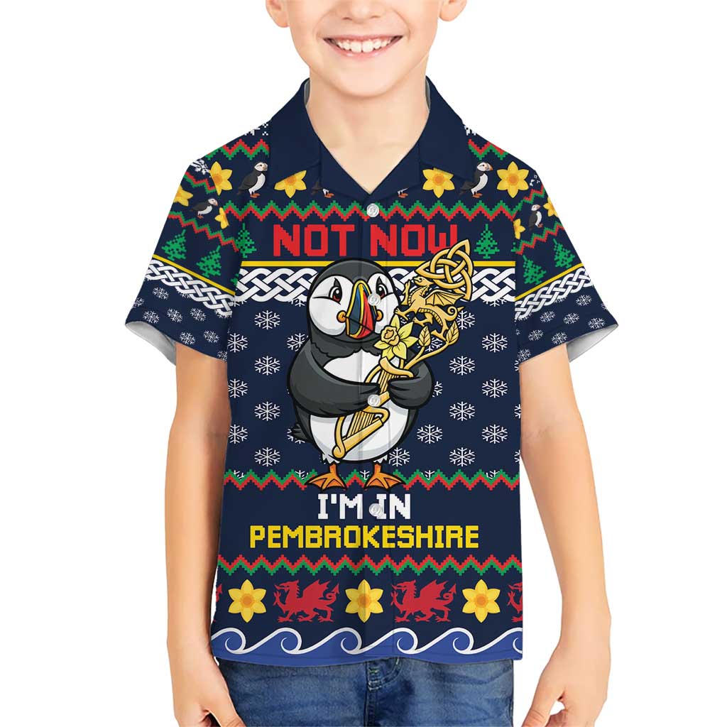 Personalized Pembrokeshire Wales Christmas Kid Hawaiian Shirt The Lovespoon Puffin - Wonder Print Shop