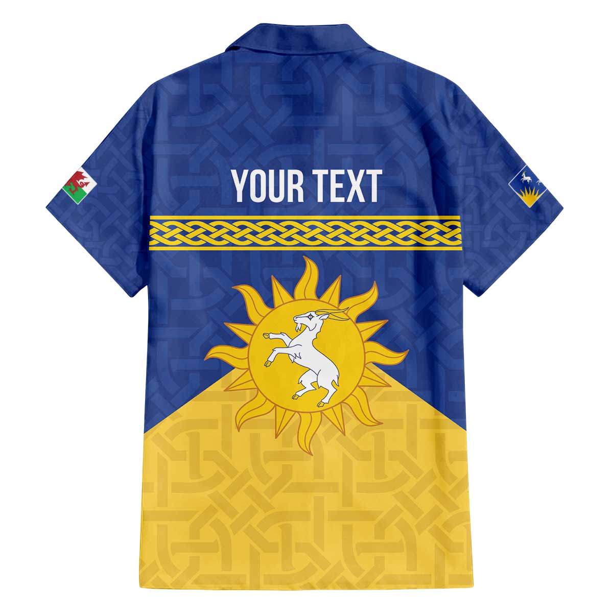 Personalized Merionethshire Wales Family Matching Off The Shoulder Long Sleeve Dress and Hawaiian Shirt Celtic Sun and Goat Design - Wonder Print Shop