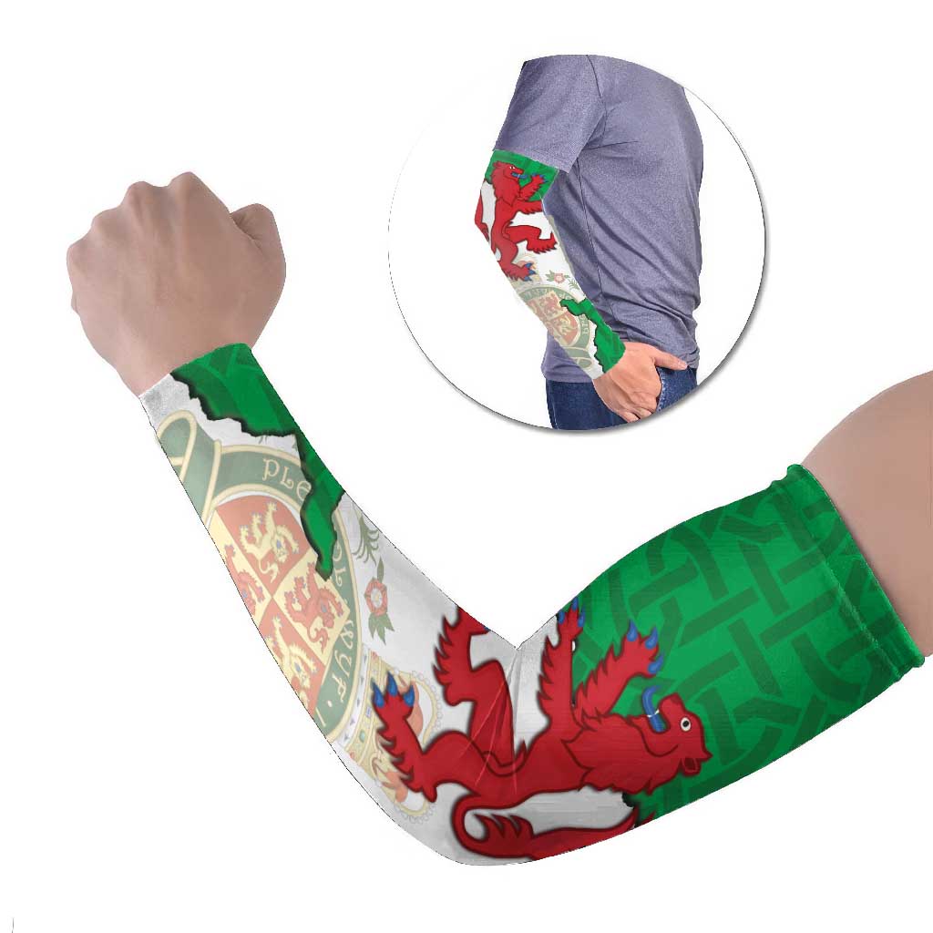 Montgomeryshire Wales Arm Sleeves Map and Emblem Celtic Style - Wonder Print Shop