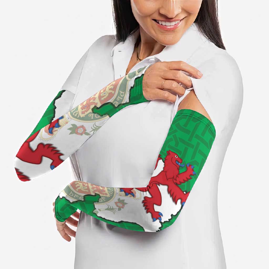 Montgomeryshire Wales Arm Sleeves Map and Emblem Celtic Style - Wonder Print Shop