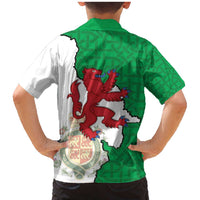 Montgomeryshire Wales Family Matching Mermaid Dress and Hawaiian Shirt Map and Emblem Celtic Style - Wonder Print Shop