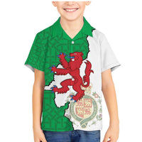 Montgomeryshire Wales Family Matching Mermaid Dress and Hawaiian Shirt Map and Emblem Celtic Style - Wonder Print Shop