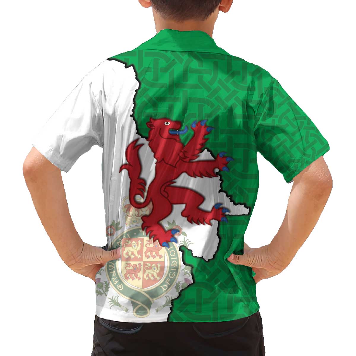 Montgomeryshire Wales Family Matching Off The Shoulder Long Sleeve Dress and Hawaiian Shirt Map and Emblem Celtic Style - Wonder Print Shop