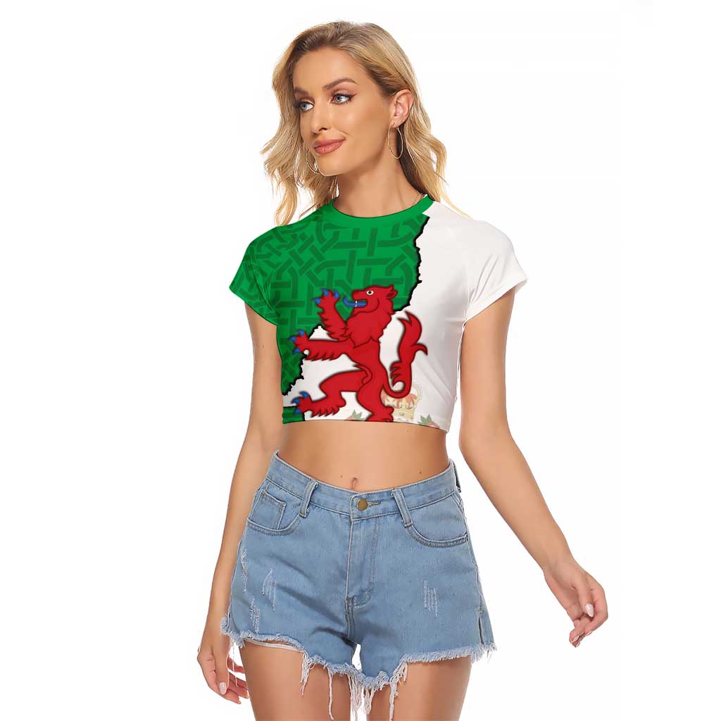 Montgomeryshire Wales Raglan Cropped T Shirt Map and Emblem Celtic Style - Wonder Print Shop