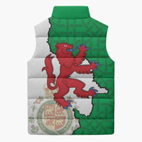 Montgomeryshire Wales Sleeveless Puffer Jacket Map and Emblem Celtic Style - Wonder Print Shop